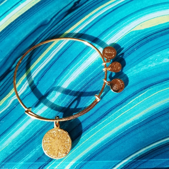 Alex and Ani, Healing Love, Sparkling, Charm Bracelet - Picture 2 of 7